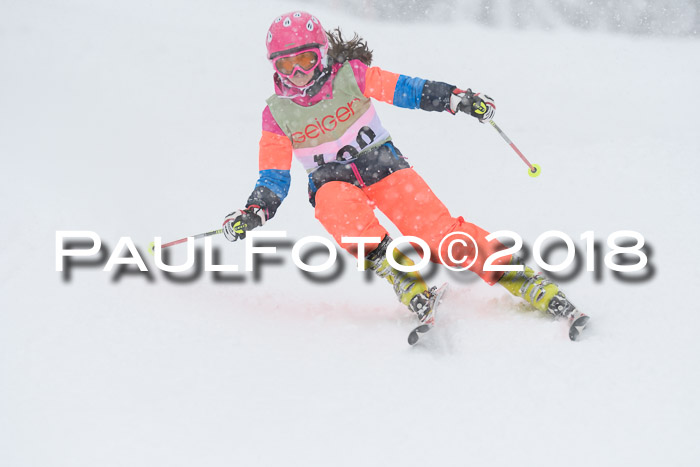 1. ASV Geiger Cup RS 20.01.2018