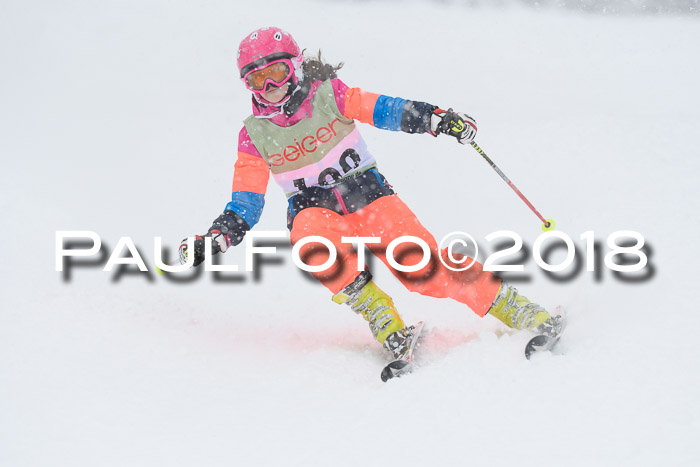 1. ASV Geiger Cup RS 20.01.2018