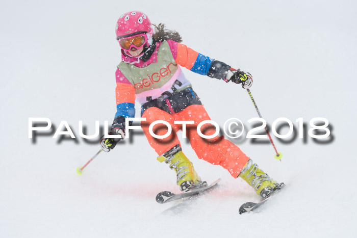 1. ASV Geiger Cup RS 20.01.2018