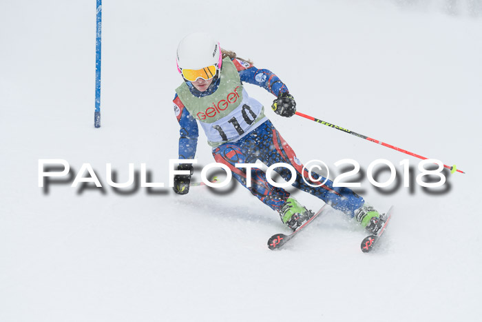 1. ASV Geiger Cup RS 20.01.2018