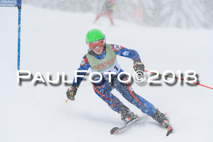 1. ASV Geiger Cup RS 20.01.2018