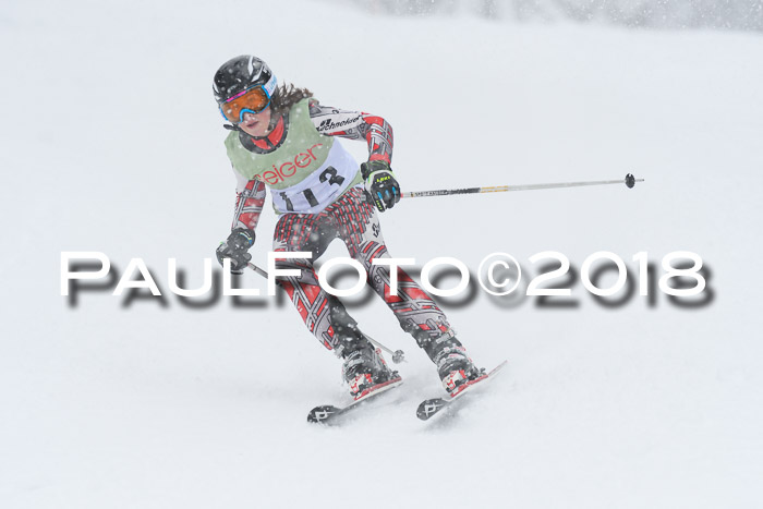 1. ASV Geiger Cup RS 20.01.2018