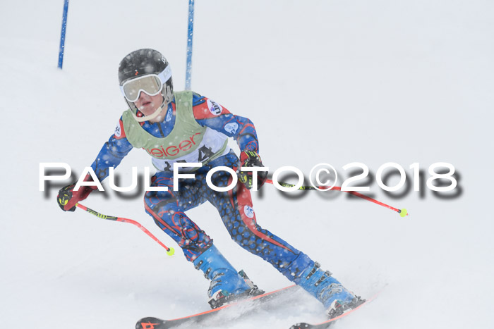 1. ASV Geiger Cup RS 20.01.2018