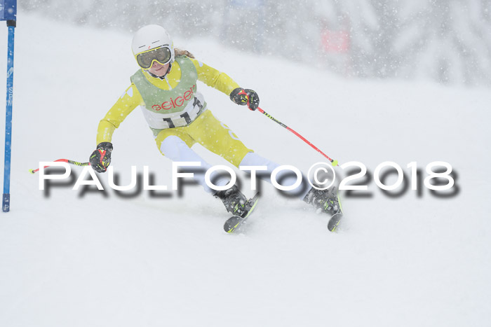 1. ASV Geiger Cup RS 20.01.2018