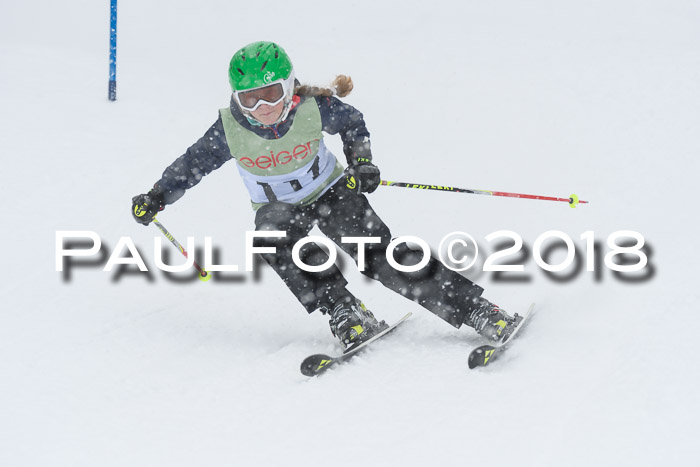 1. ASV Geiger Cup RS 20.01.2018