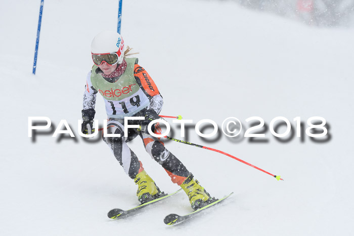 1. ASV Geiger Cup RS 20.01.2018