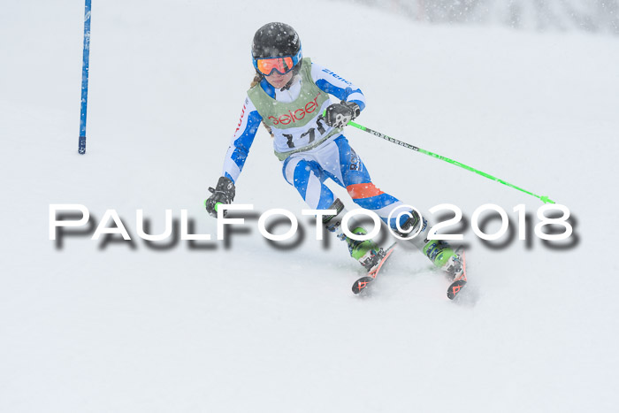 1. ASV Geiger Cup RS 20.01.2018