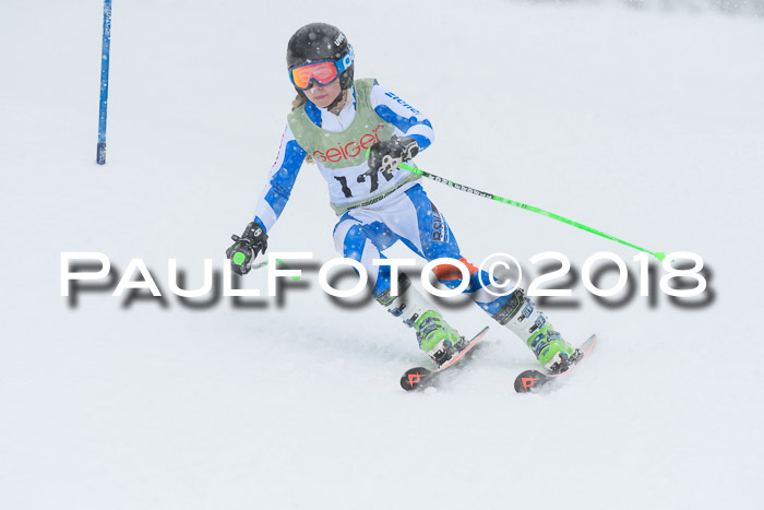 1. ASV Geiger Cup RS 20.01.2018
