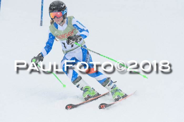 1. ASV Geiger Cup RS 20.01.2018