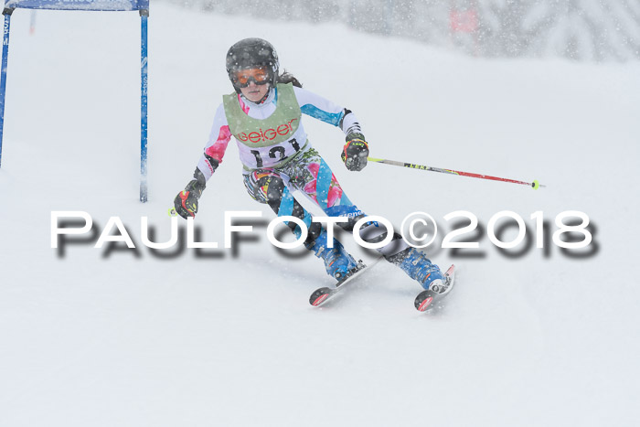 1. ASV Geiger Cup RS 20.01.2018