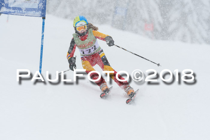 1. ASV Geiger Cup RS 20.01.2018