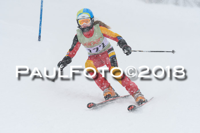 1. ASV Geiger Cup RS 20.01.2018