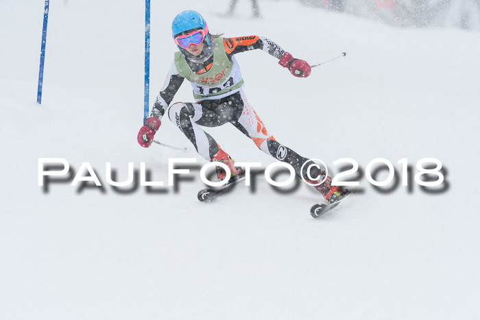 1. ASV Geiger Cup RS 20.01.2018