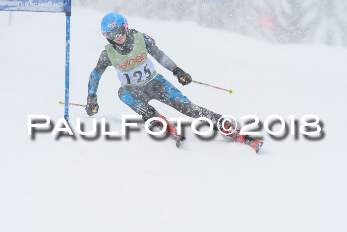 1. ASV Geiger Cup RS 20.01.2018