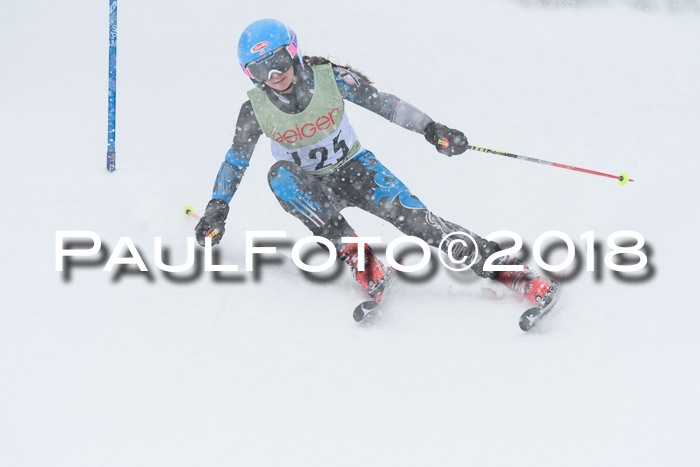 1. ASV Geiger Cup RS 20.01.2018