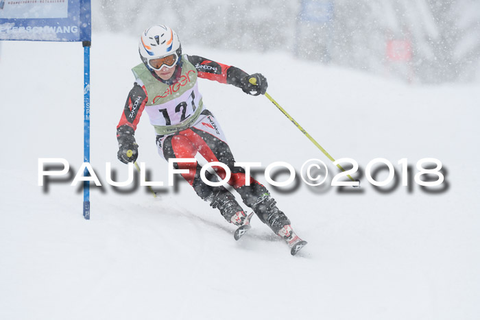 1. ASV Geiger Cup RS 20.01.2018