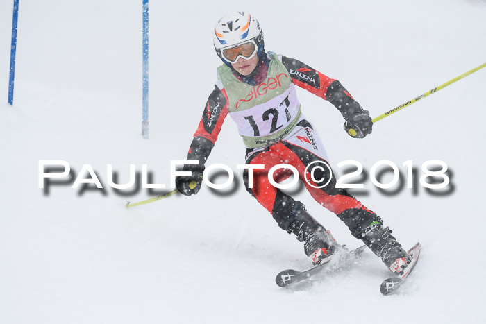 1. ASV Geiger Cup RS 20.01.2018