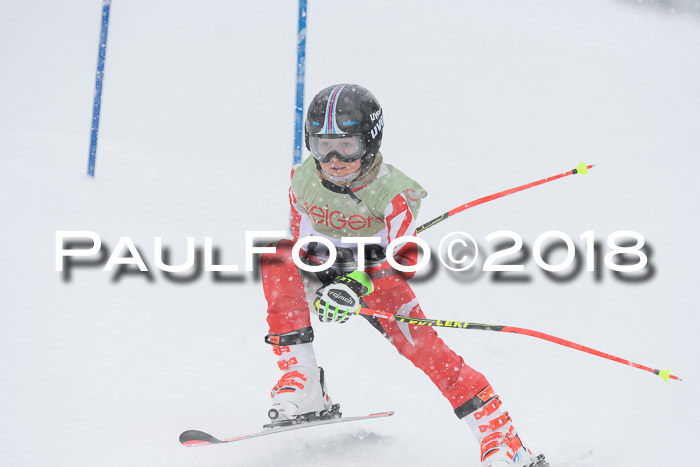 1. ASV Geiger Cup RS 20.01.2018