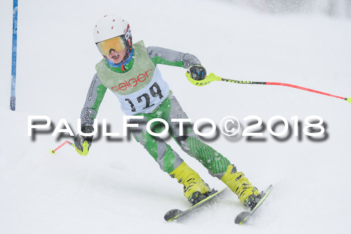 1. ASV Geiger Cup RS 20.01.2018