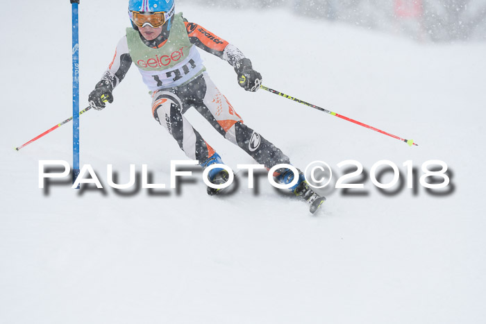 1. ASV Geiger Cup RS 20.01.2018