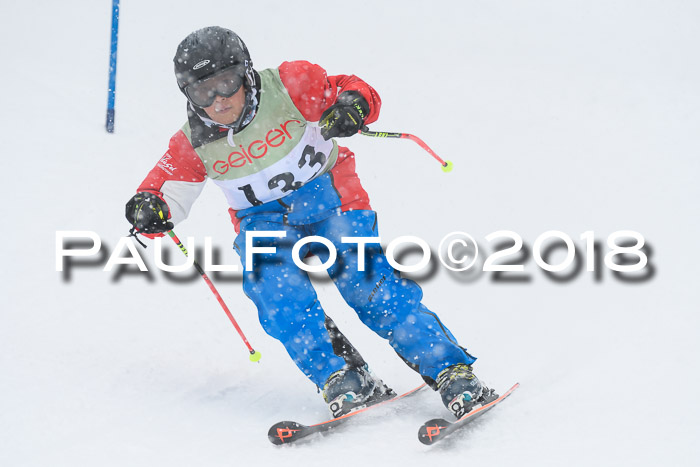 1. ASV Geiger Cup RS 20.01.2018