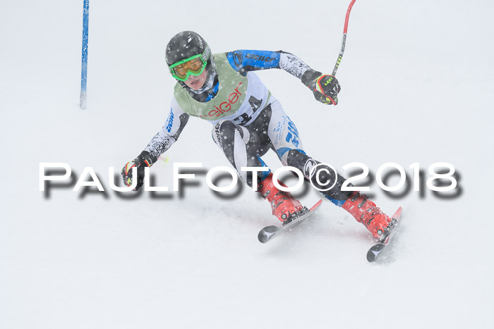 1. ASV Geiger Cup RS 20.01.2018