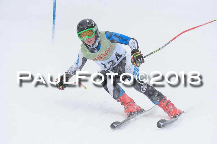 1. ASV Geiger Cup RS 20.01.2018