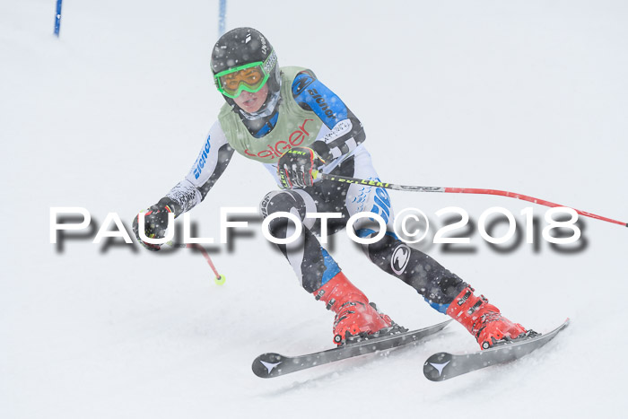 1. ASV Geiger Cup RS 20.01.2018