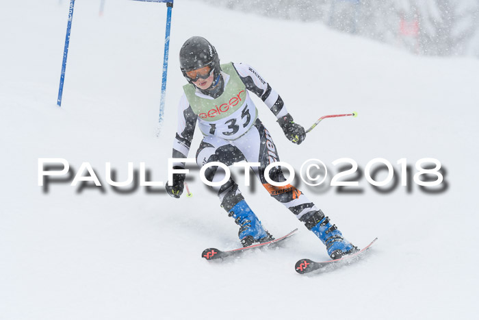 1. ASV Geiger Cup RS 20.01.2018