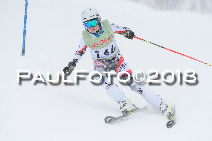 1. ASV Geiger Cup RS 20.01.2018