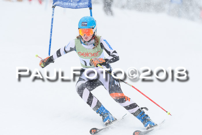 1. ASV Geiger Cup RS 20.01.2018