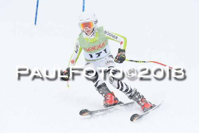 1. ASV Geiger Cup RS 20.01.2018