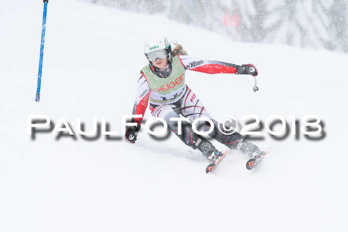 1. ASV Geiger Cup RS 20.01.2018