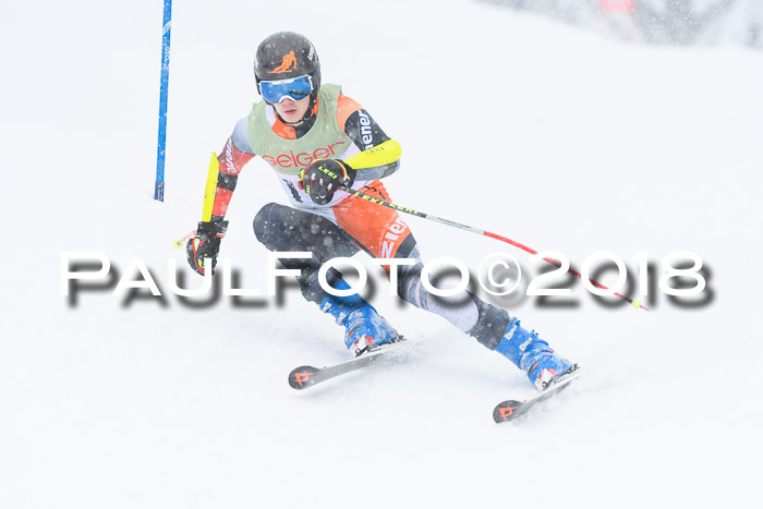 1. ASV Geiger Cup RS 20.01.2018