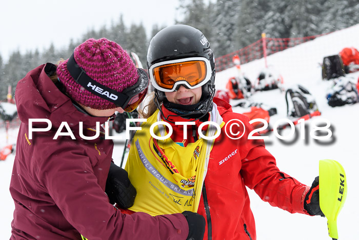 DSV Dt. Schülercup U14 SL 20.01.2018