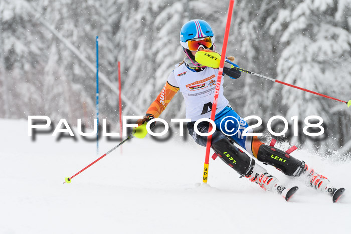 DSV Dt. Schülercup U14 SL 20.01.2018