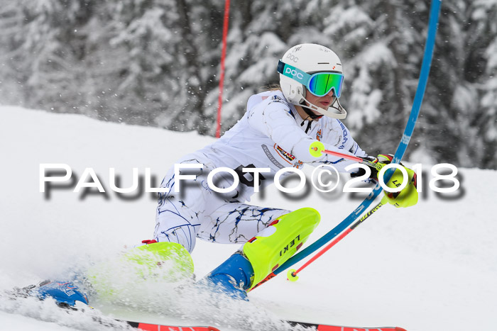 DSV Dt. Schülercup U14 SL 20.01.2018