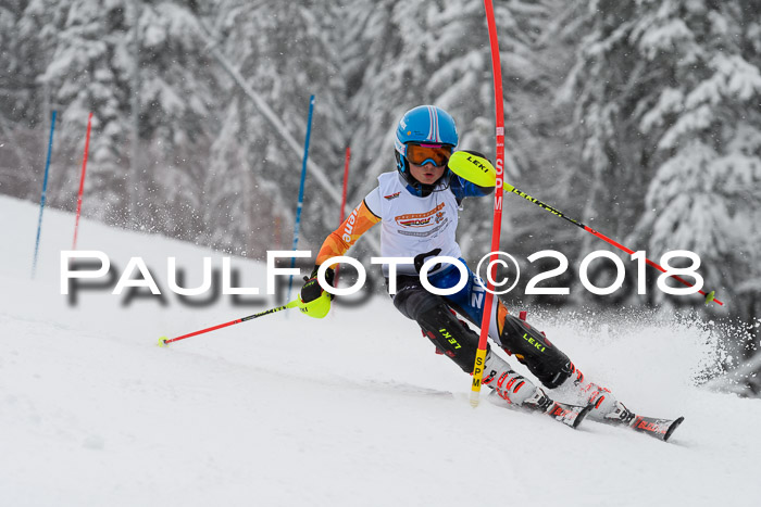 DSV Dt. Schülercup U14 SL 20.01.2018