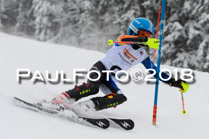 DSV Dt. Schülercup U14 SL 20.01.2018