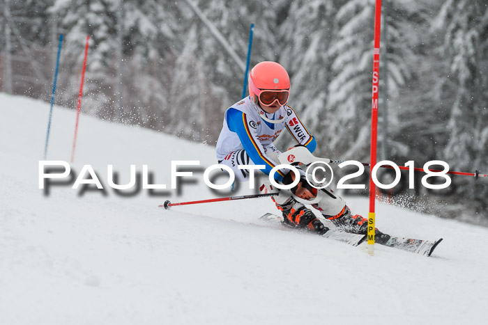 DSV Dt. Schülercup U14 SL 20.01.2018