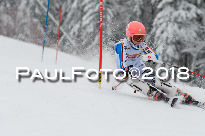 DSV Dt. Schülercup U14 SL 20.01.2018