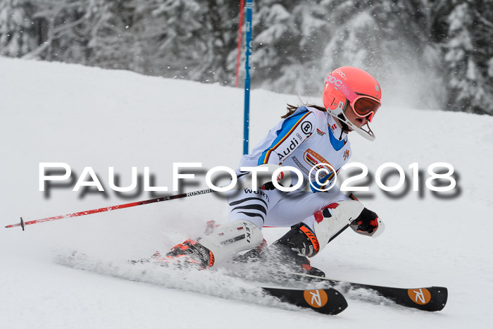 DSV Dt. Schülercup U14 SL 20.01.2018