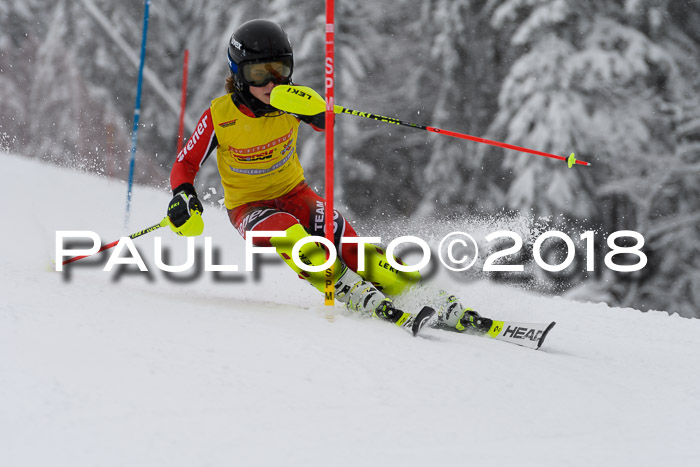 DSV Dt. Schülercup U14 SL 20.01.2018