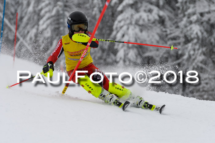 DSV Dt. Schülercup U14 SL 20.01.2018