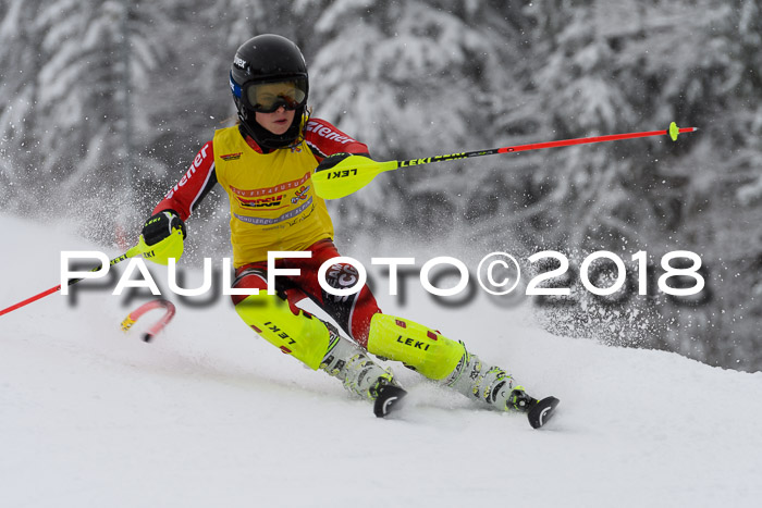 DSV Dt. Schülercup U14 SL 20.01.2018