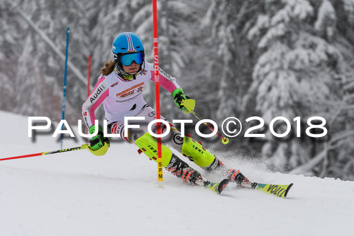 DSV Dt. Schülercup U14 SL 20.01.2018