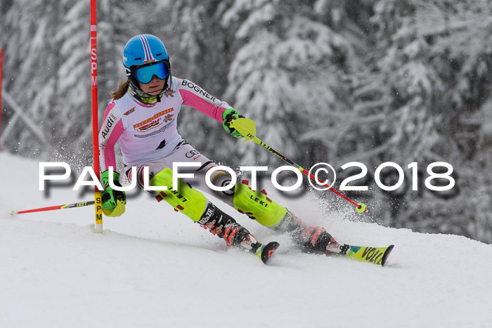 DSV Dt. Schülercup U14 SL 20.01.2018