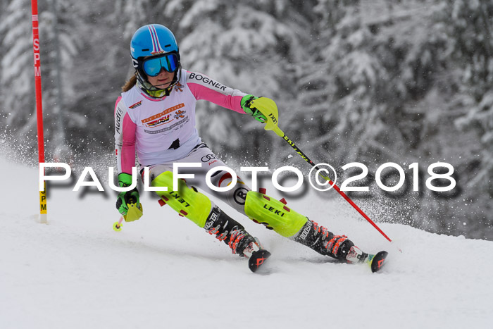 DSV Dt. Schülercup U14 SL 20.01.2018