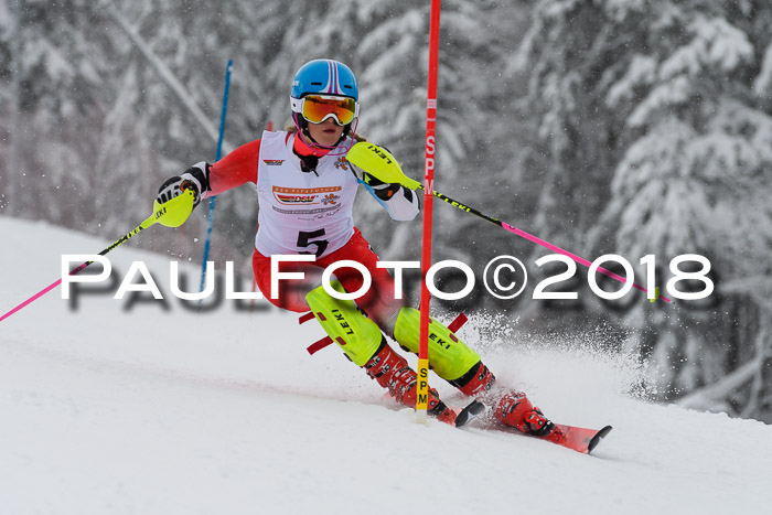 DSV Dt. Schülercup U14 SL 20.01.2018