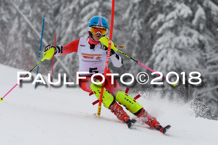 DSV Dt. Schülercup U14 SL 20.01.2018